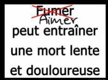 Mn amour
